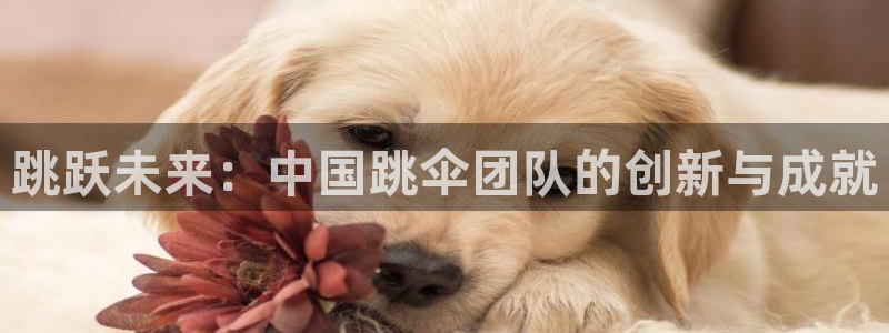 抖球体育