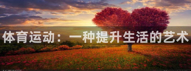 关键词：体育运动：一种提升生活的艺术