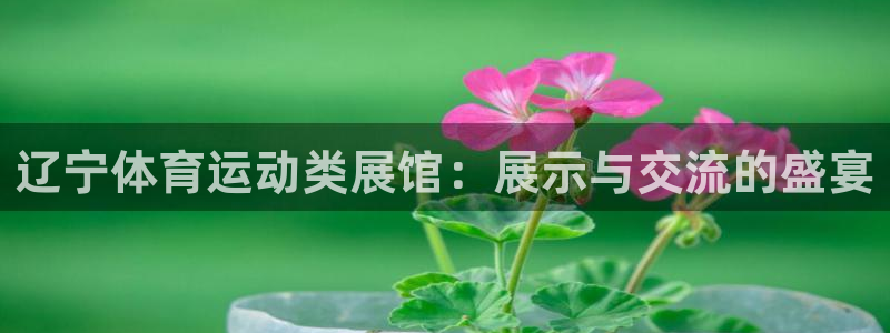 抖球体育直播
