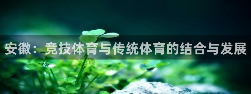 抖球体育app手机版免费