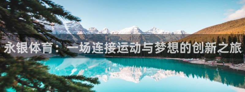 抖球体育