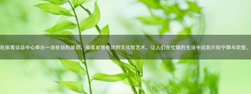 关键词：在体育运动中心举办一场特别的展览，展现世界各地的文化和艺术，让人们在忙碌的生活中找到片刻宁静与欢愉。