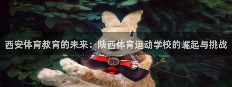 抖球体育：西安体育教育的未来：陕西体育运动学校的崛起与挑战