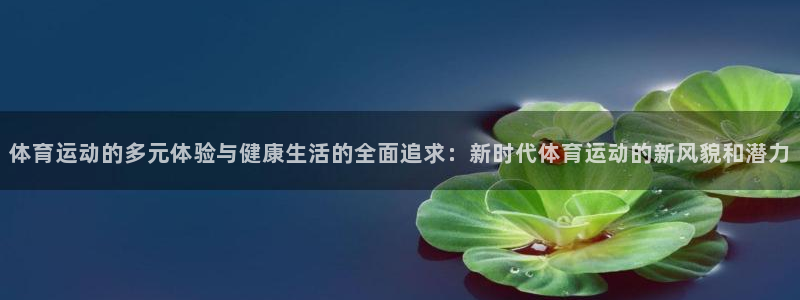 抖球体育直播：体育运动的多元体验与健康生活的全面追求：新时代体育运动的新风貌和潜力