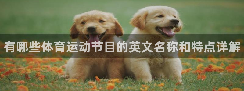抖球体育