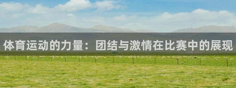 抖球体育直播：体育运动的力量：团结与激情在比赛中的展现